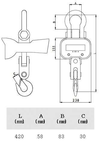 Крановые весы CAS Caston-I 3THA  артикул 0021-1310                  