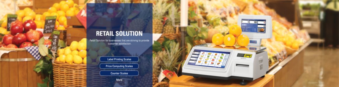 Весы электронные Cas по выгодной цене у официального диллера с гарантией в городе Санкт-Петербург