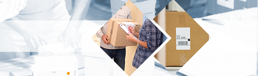 ТСД Newland в городе Санкт-Петербург